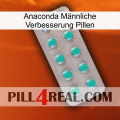 Anaconda Männliche Verbesserung Pillen 28
